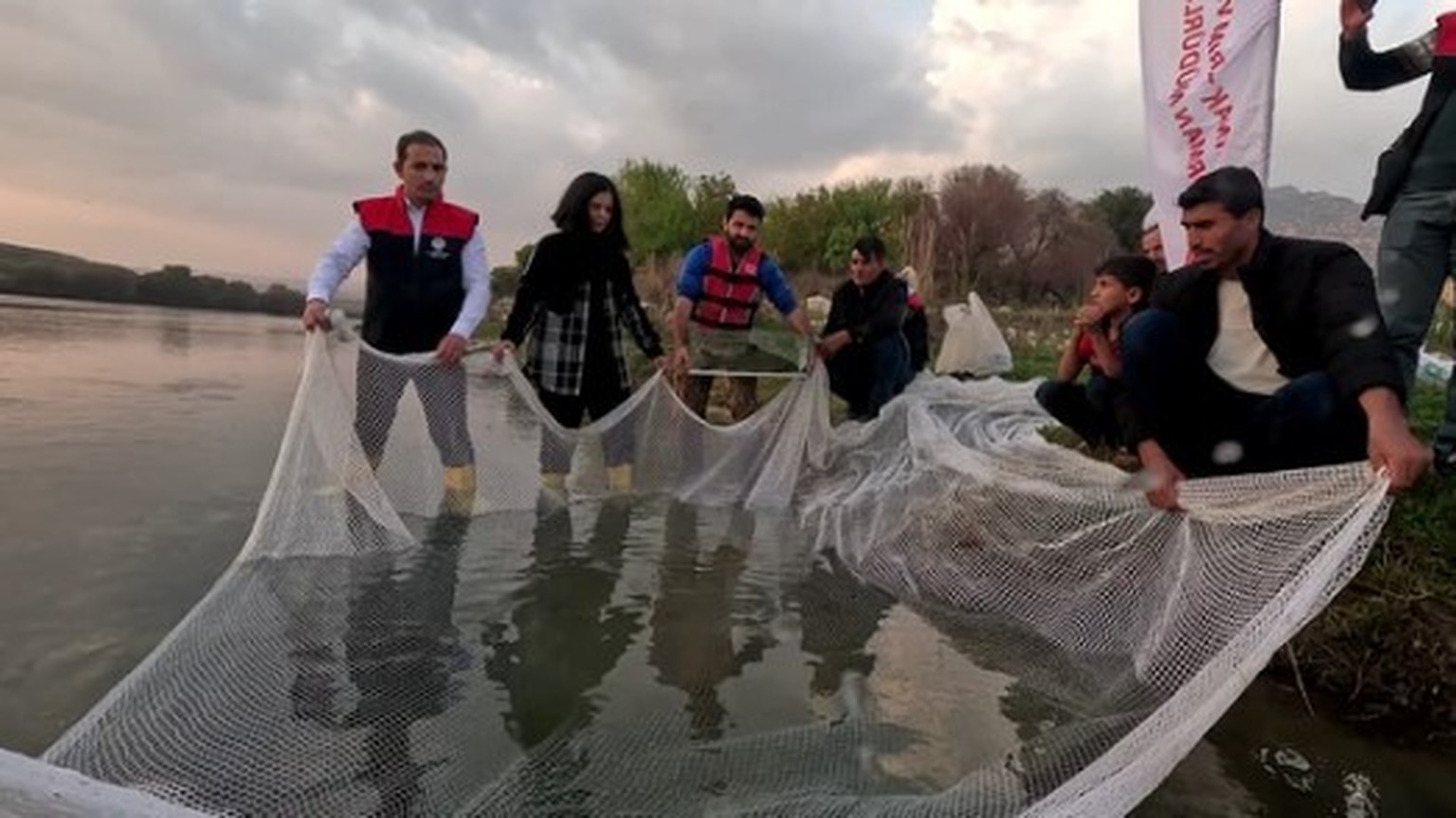 The captured fish were then released back into the wild.