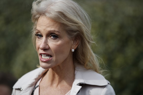 FILE - In this Jan. 23, 2019 file photo, White House senior adviser Kellyanne Conway talks with reporters outside the White House in Washington. Conway says she was grabbed and shaken by a woman at a  ...