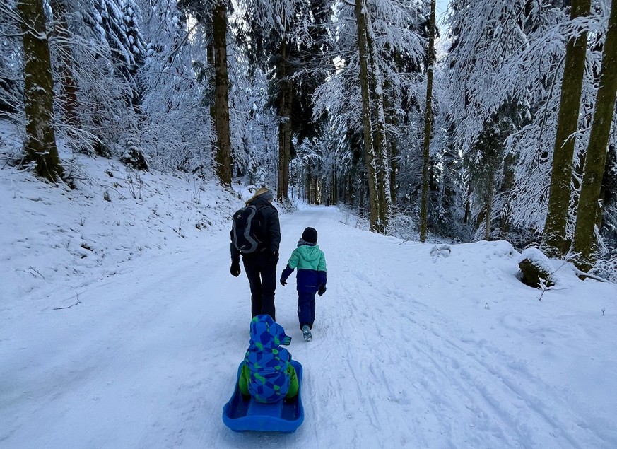 Alp Egg Rittmarren Schlittelweg Gommiswald Ricken Rauszeit beste Schlittelwege der Schweiz