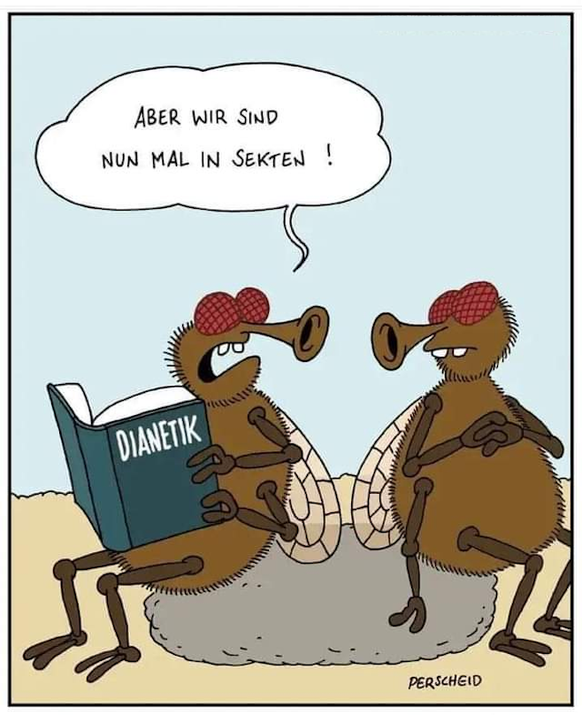 Wie die Scientology-Sekte auf Datingplattformen neue Anhänger ködert\nDie Gehirnwäsche für psychisch labile.