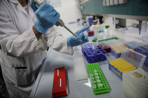 Biochemical researcher Tiziana Alberio works on sample of saliva at the Insubria university department of biomedical science and research in Busto Arsizio, Italy, Friday, Oct. 9, 2020. Researchers at  ...