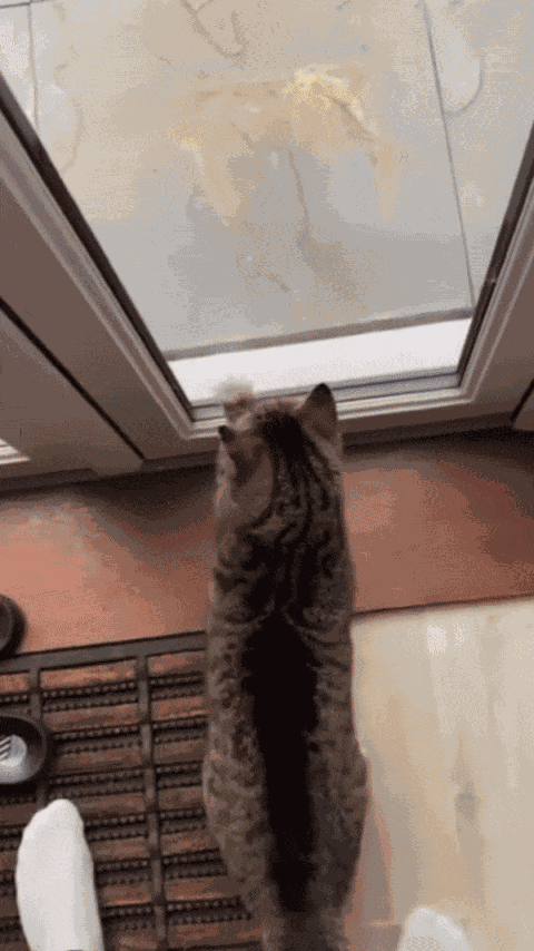 Animiertes GIF