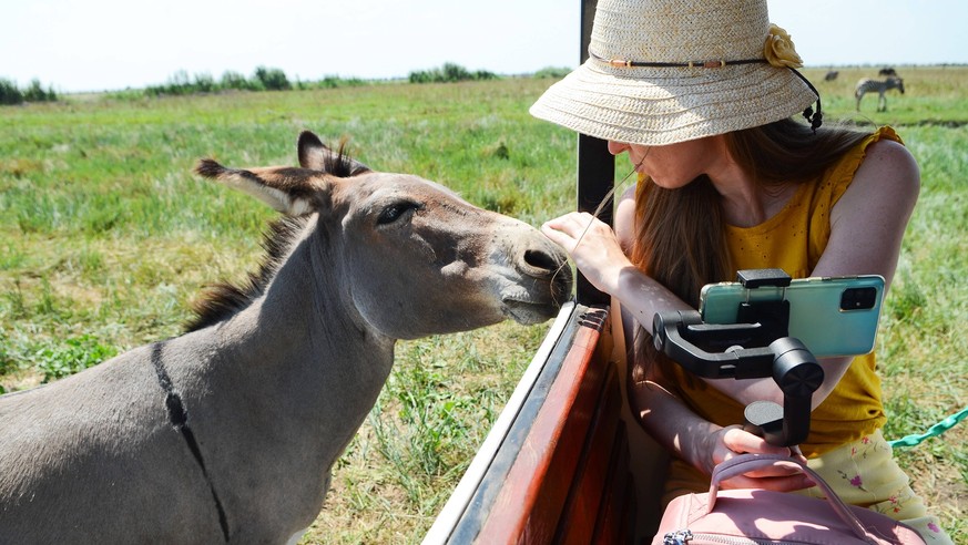 KHERSON REGION, UKRAINE - AUGUST 1, 2021 - A tourist pets a donkey during a safari at the Friedrich-Jacob Falz-Fein Askania-Nova Biosphere Reserve, Kherson Region, southern Ukraine. Askania-Nova Biosp ...