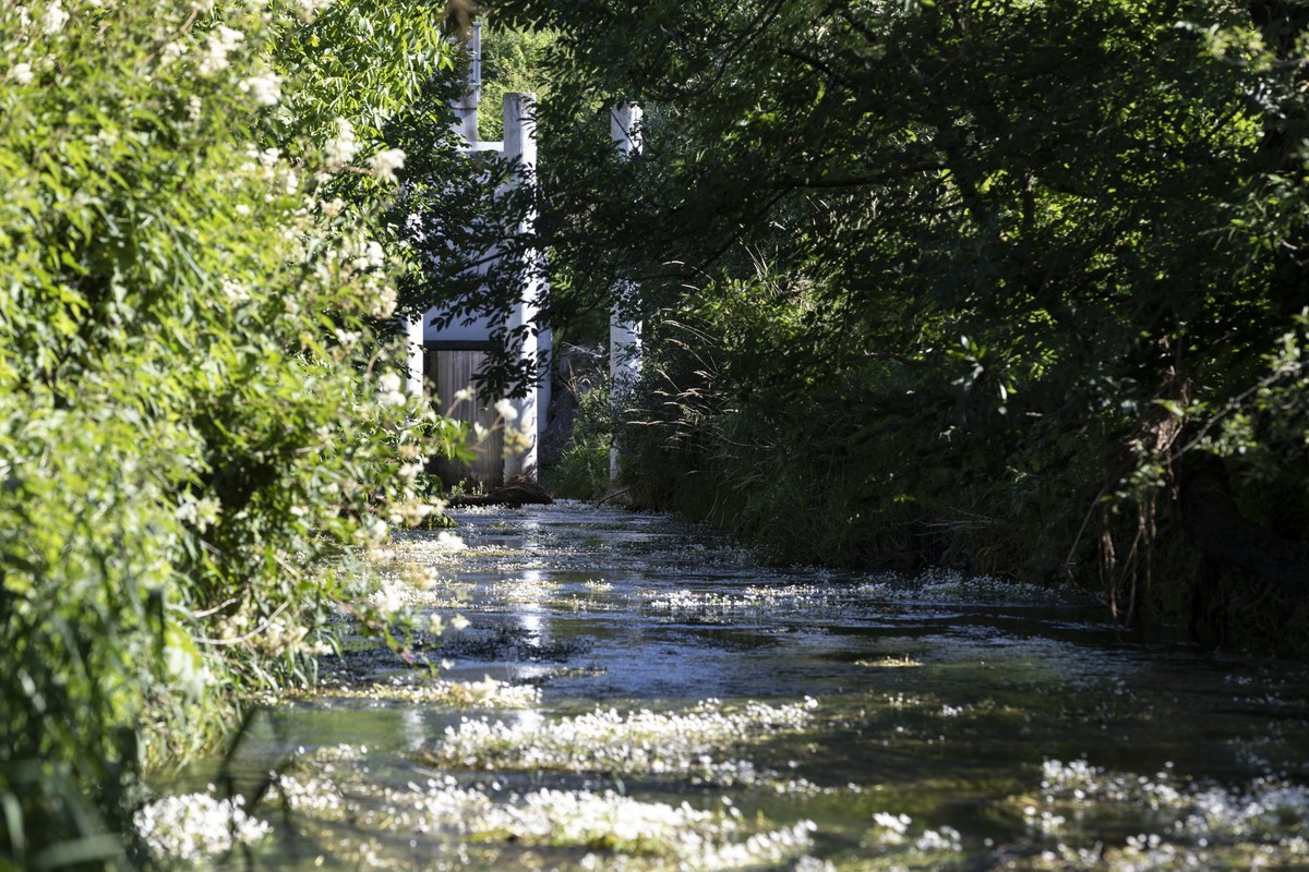 Fluss Wyna, aufgenommen 26. Juni 2018. Der Hochwasserrueckhaltenbecken Moos schuetzt der Dorf Zetzwil (AG) vor schnelle Anstieg der Pegel der Fluss Wyna .Diese Hochwasserrueckhaltenbecken hat platz fu ...