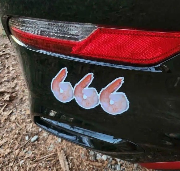Okay bei diesen Autoaufklebern mussten wir lachen. 
https://pleated-jeans.com/2024/09/18/hilarious-bumper-stickers/