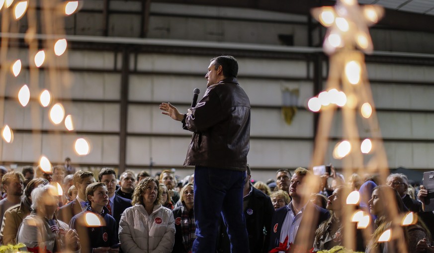Ted Cruz Mitte Dezember in seinem Heimatstaat Texas.
