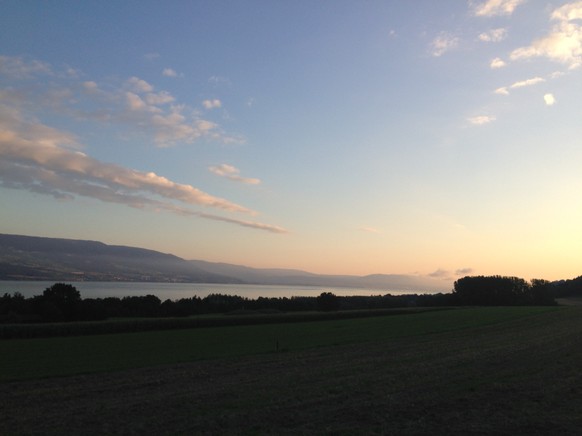 Früher Morgen oberhalb von Yvonand mit Blick auf den Neuenburgersee und den Jura.