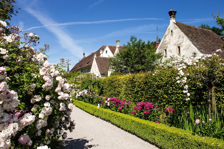 Rosenblüten Rauszeit Kartause Ittingen