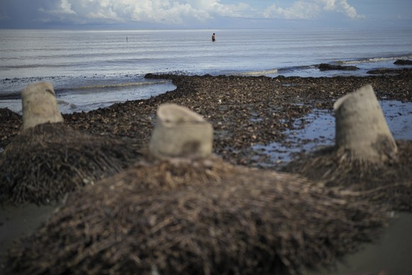 A fisher walks in the water after setting up a fishing net near a beach in Budong-Budong, West Sulawesi Island, Indonesia, Monday, Feb. 24, 2025. (AP Photo/Dita Alangkara)
Indonesia Deforestation Croc ...