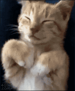Animiertes GIF.