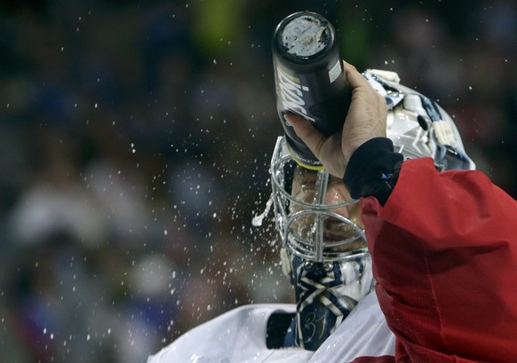 Goaltender Ondrej Pavelec of the Czech Republic pauses during their Ice Hockey World Championship game against Switzerland at the O2 arena in Prague, Czech Republic May 12, 2015. REUTERS/David W Cerny