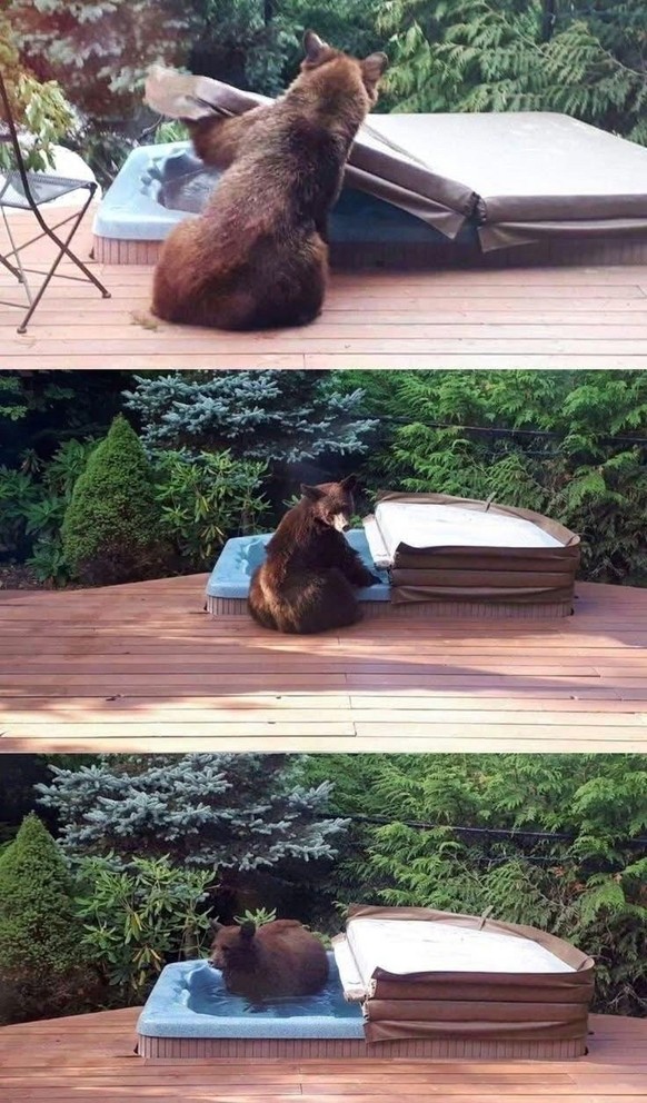 cute news tier bär

https://imgur.com/gallery/20-nice-wholesome-things-to-brighten-day-vol-172-yxwpaft#/t/aww