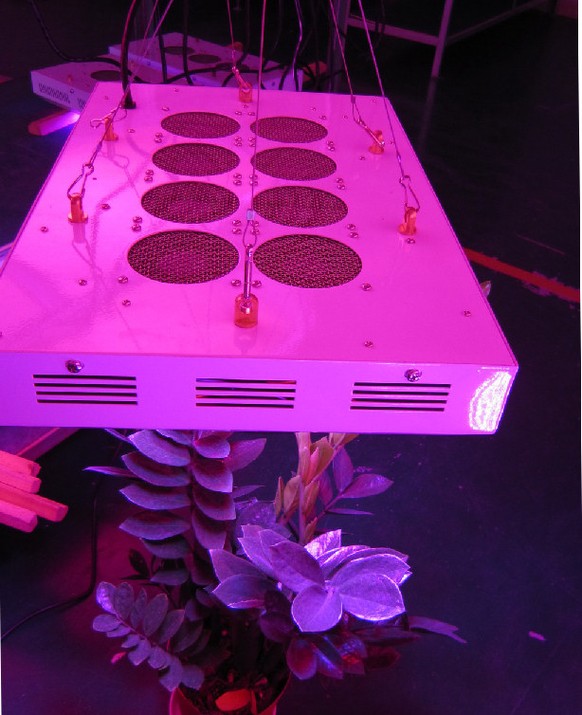 Ein LED-Gewächslicht.