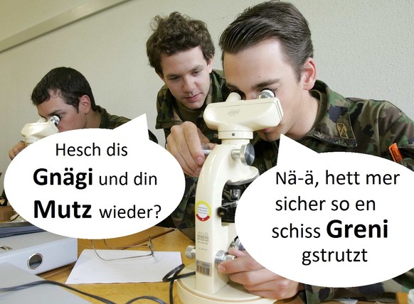 Rekruten untersuchen am Dienstag, 4. Mai 2004 in einem Schulungszimmer im AC Zentrum in Spiez, mit einem Mikroskop eine biologische Probe. Erstmals werden in der Schweizer Armee bereits in der Rekrute ...