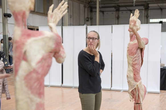 Besucher betrachten plastinierte menschliche Koerperteile in der Ausstellung &quot;Bodies Exhibition&quot;, am Sonntag, 7. Oktober 2018, in Bern. Die Ausstellung praesentiert 250 Exponate des menschli ...