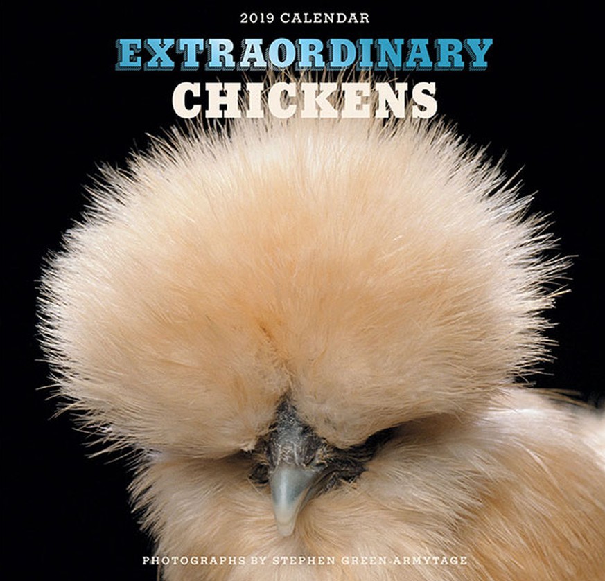 Extraordinary chickens calendar 2019 https://www.abramsbooks.com/product/extraordinary-chickens-2019-wall-calendar_9781419729997/