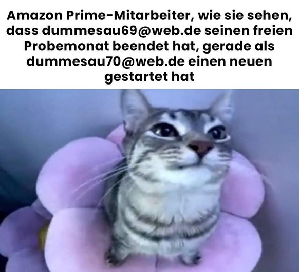 Amazon Meme