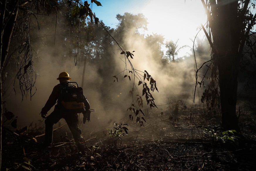 epa07827073 Prevfogo firefighters, an Ibama forest brigade formed by indigenous people of the Tenhari ethnic group, participate in fire fighting efforts fire in an indigenous reserve located in Humait ...