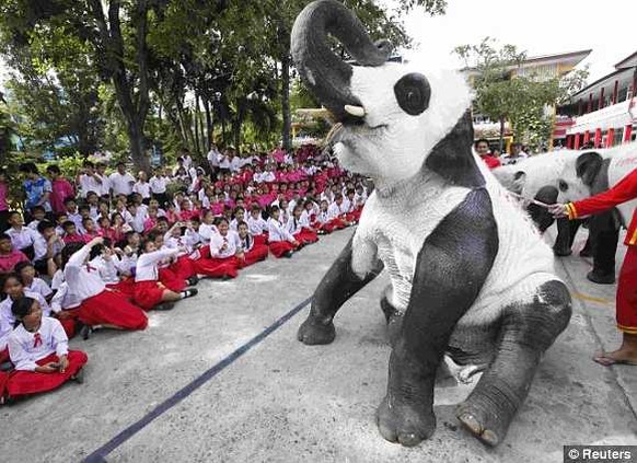 Tiere, die lieber Pandas wären