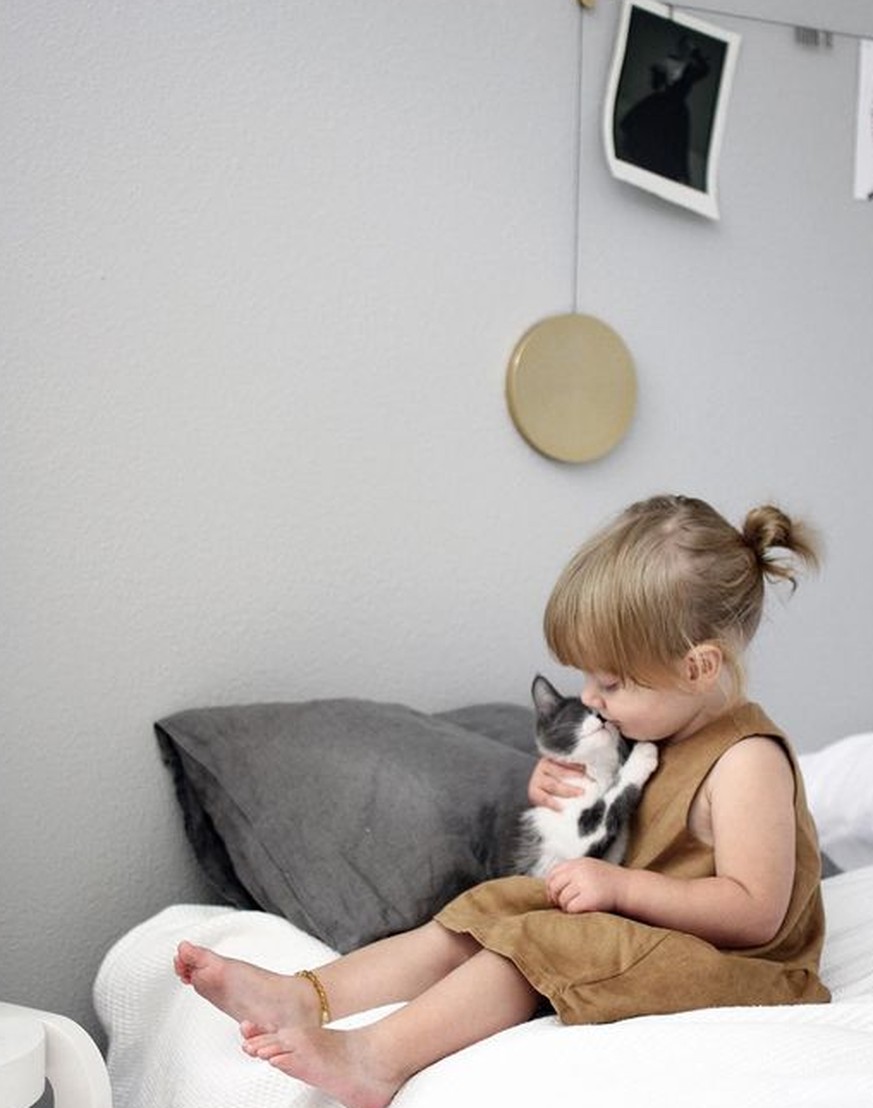 Die besten Erinnerungen an deine Kindheit sind Katzen