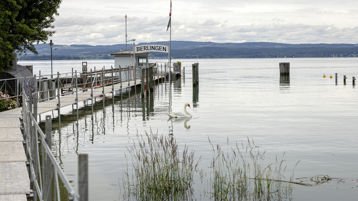 Leblose-Frau-im-Bodensee-gefunden-Polizei-geht-von-T-tungsdelikt-aus