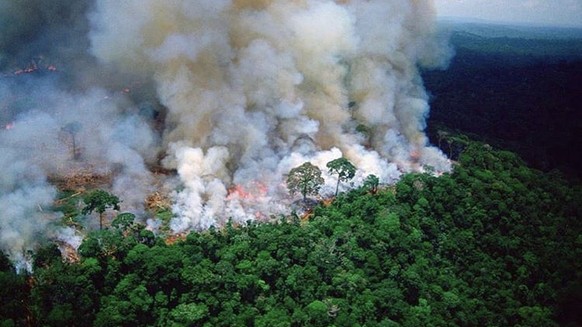 Der amazonas brennt seit fast drei wochen! Wieso wird nicht darüber berichtet?

https://www.morgenpost.de/vermischtes/article226842027/Brasilien-Amazonas-Regenwald-Lunge-der-Welt-brennt-10-000-Feuer-i ...