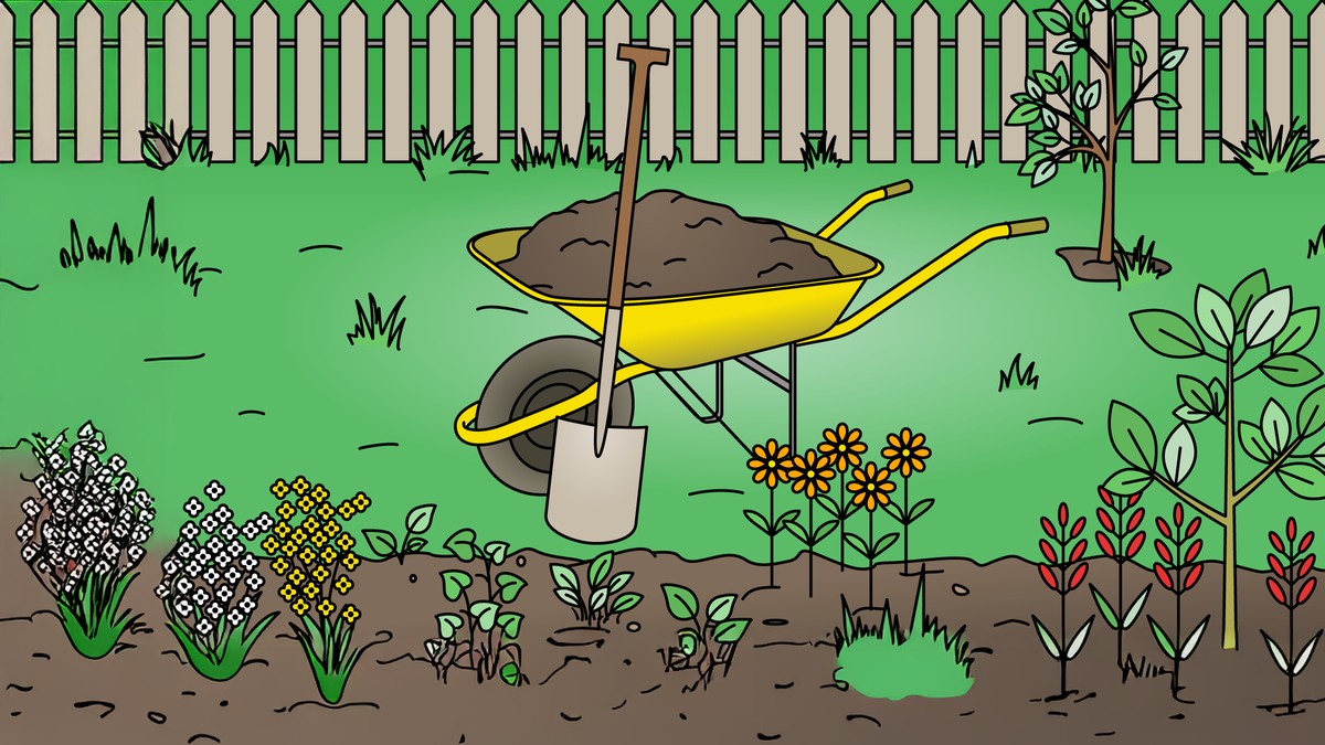 Jetzt ist der richtige Zeitpunkt, um dich um deinen Rasen zu kümmern