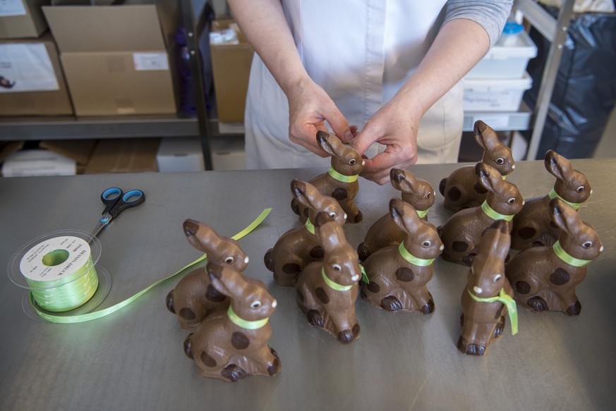 ZUR HERSTELLUNG VON SCHOKOLADENOSTERHASEN IN DER CONFISERIE HONOLD STELLEN WIR IHNEN FOLGENDES BILDMATERIAL ZUR VERFUEGUNG --- A confectioner ties a green ribbon around the necks of the Easter bunnies ...