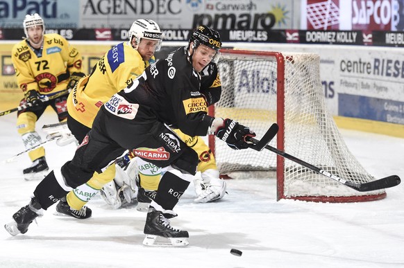 Fribourgs-Gottéron-Stürmer Ryan Gardner im Duell mit Berns Justin Krueger.