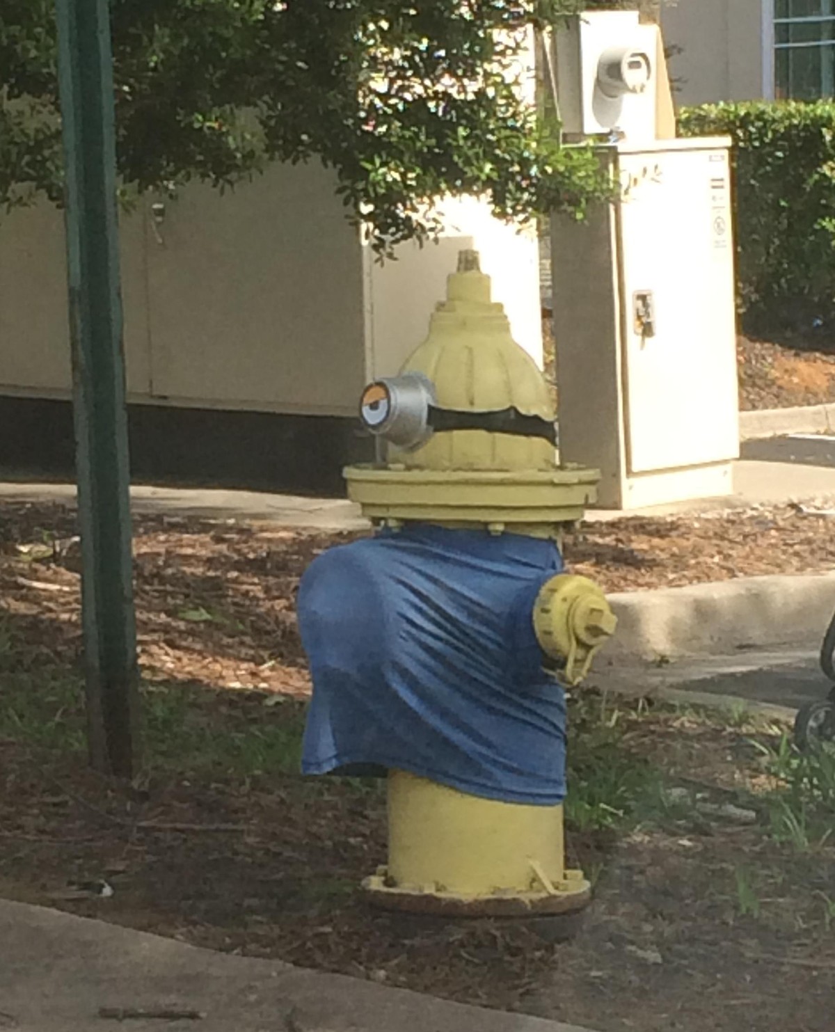 Minion