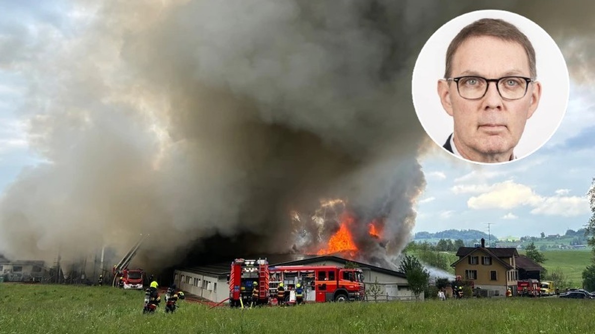 810 tote Schweine nach Brand in Gossau: Professor kritisiert Bundesrat