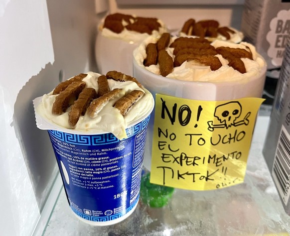 Viral 2 Ingredient Japanese Tiktok Cheesecake