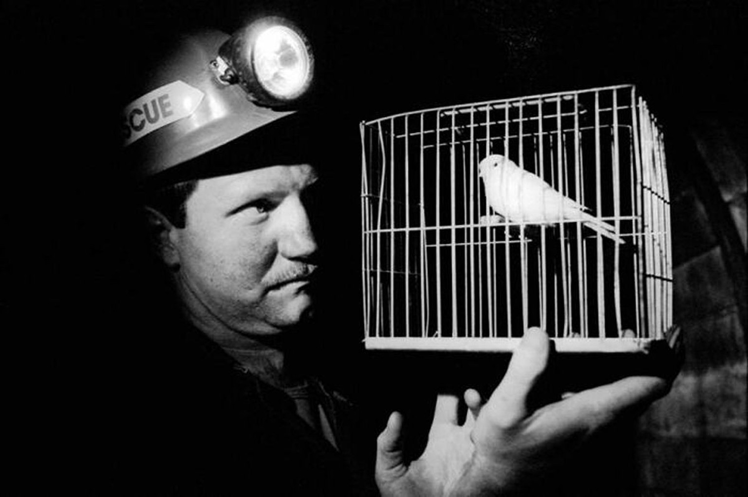Minenarbeiter mit Kanarienvogel