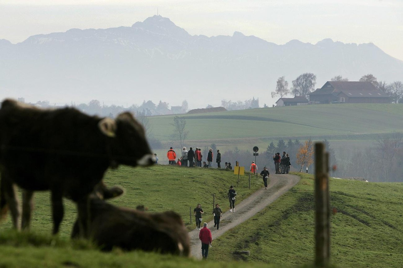 Waffenlaeufer rennen ueber einen Feldweg kurz vor dem Ziel in Frauenfeld waehrend des letzten Waffenlaufes der Saison am Sonntag, 19. November 2006. Im Hintergrund der Saentis. (KEYSTONE/Alessandro De ...