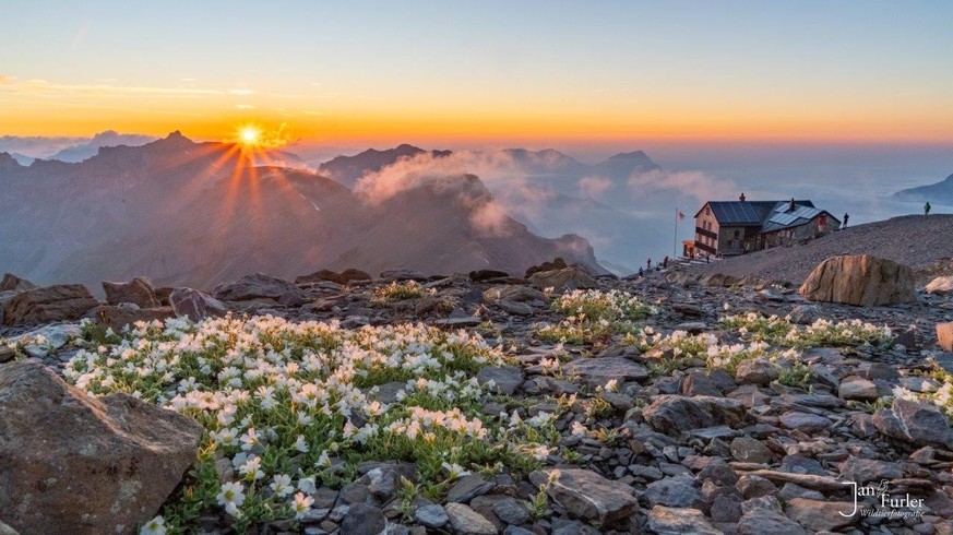 Das Panorama, das man von der Blüemlisalphütte des SAC bewundern kann.