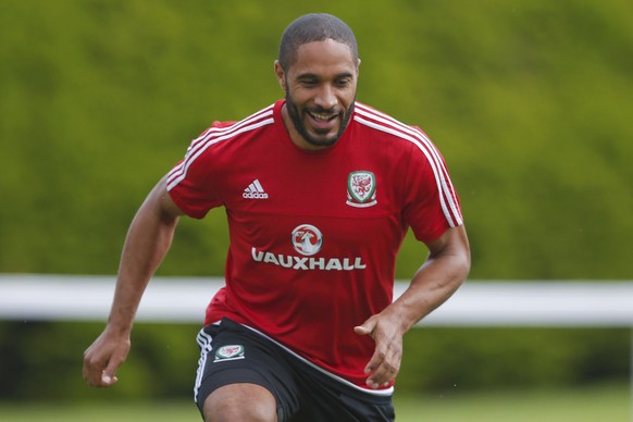 Der Fels in der Brandung: Ashley Williams.