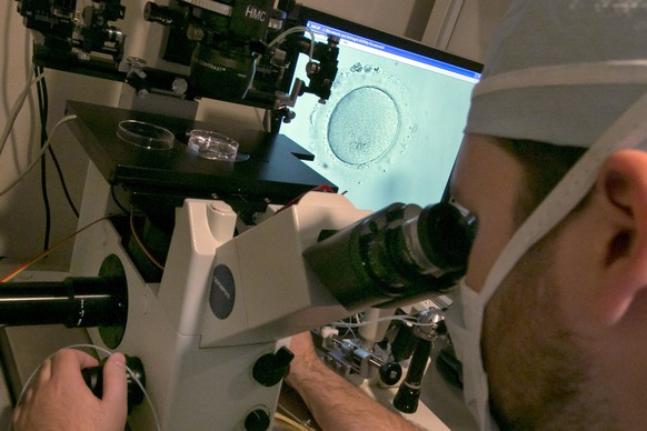 FILE - An embryologist uses a microscope to view an embryo, visible on a monitor, right, on Oct. 3, 2013, in New York. The Alabama Supreme Court ruled, Friday, Feb. 16, 2024, that frozen embryos can b ...
