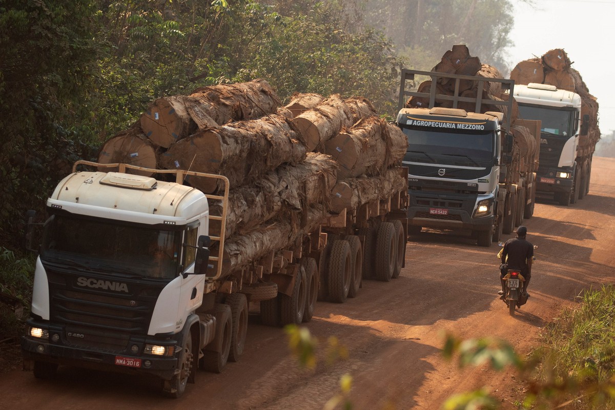 epa12200406 (FILE) - Three trucks transport wood extracted from the Amazon rainforest in the state of Rondonia, Brazil, 27 August 2019 (reissued 27 June 2025). The UN International Day of the Tropics, ...
