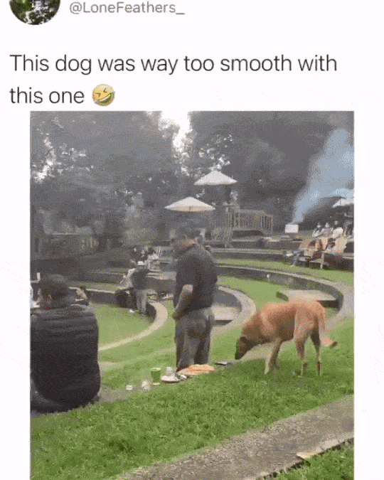 Animiertes GIF