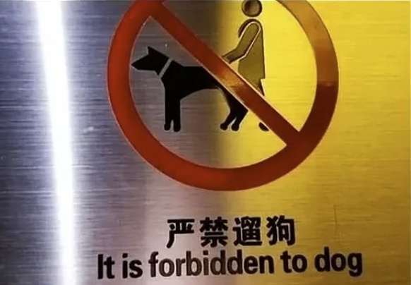 Lustige Übersetzungen