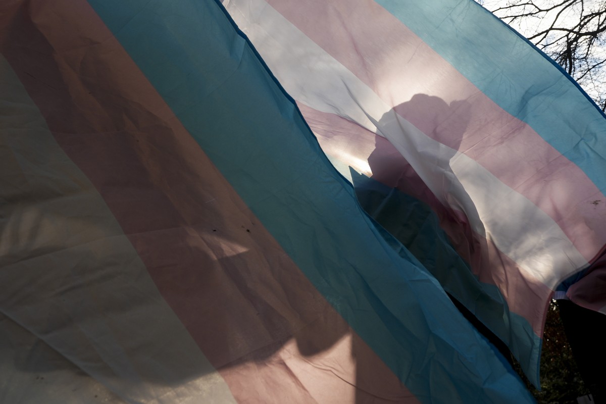 FILE - A protester is silhouetted against a trans pride flag during a pro-transgender rights protest outside of Seattle Children's Hospital, in Seattle, Feb. 9, 2025. (AP Photo/Lindsey Wasson, Fi ...