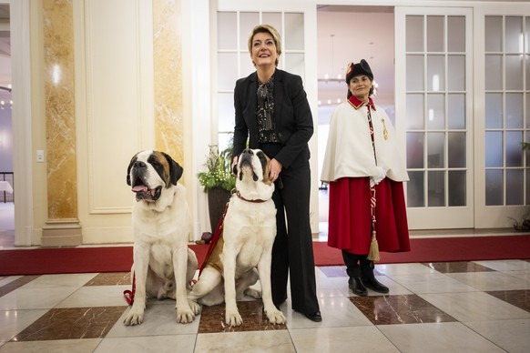 Begleitet von der Weibelin Alba Napoletano, rechts, trifft, Bundesraetin Karin Keller-Sutter ihren Patenhund, den Bernhardiner Zeus du Grand St. Bernard, links, und dessen Tochter Lio von der Fondatio ...