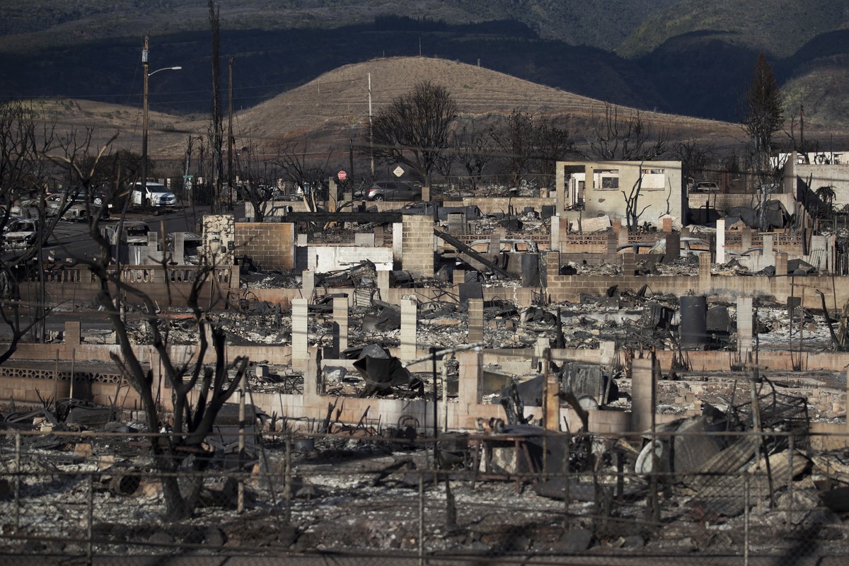 epa10799481 Burnt trees and the ruins of houses are what is left after the Lahaina fire burnt through the city, in Lahaina, Hawaii, USA, 13 August 2023. At least 93 people were killed in the wildfires ...