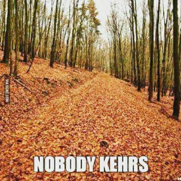 Es herbstelt! Diese perfekten Bilder und Gifs beweisen, dass der Herbst die geilste Jahreszeit ist
Aaaaah, Herbst! Ich liebe dich!