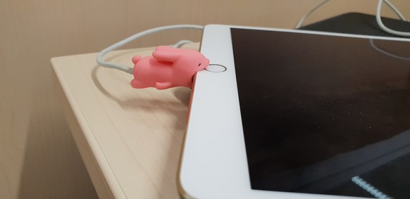 Lass dich von nichts ablenken! Der Picdump ist da
Ich hab eins mit Chüngeli 😍