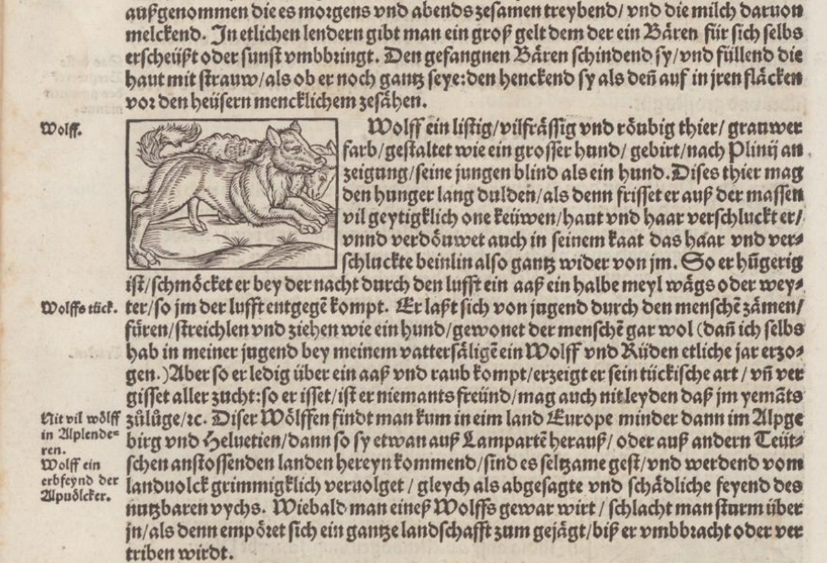 Ausschnitt aus Stumpfs Chronik (1548): «Gemeiner loblicher Eydgnoschafft Stetten, Landen und
Völckeren Chronick wirdiger Thaaten Beschreybung», 9. Buch «Von den Lepontiern» S. 286: «Wiebald man eines  ...