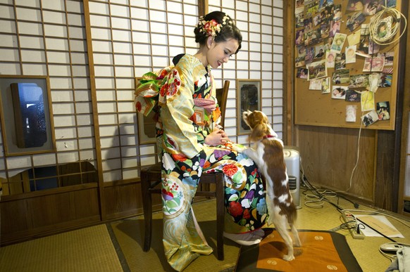 L'amour des animaux au Japon va très loin.