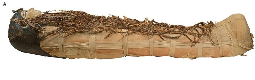 Die Abbildung der Mumie von Amenophis I. zeigt den vollständig in Leinen gehüllten Körper, der mit Blumengirlanden aus Rittersporn, ägyptischem Flusshanf und Färberdisteln bedeckt ist und eine sogenannte Mumienmaske trägt.