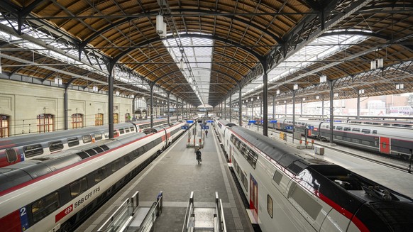 Zuege stehen im Bahnhof SBB in Basel, am 5. Dezember 2023. (KEYSTONE/Georgios Kefalas)