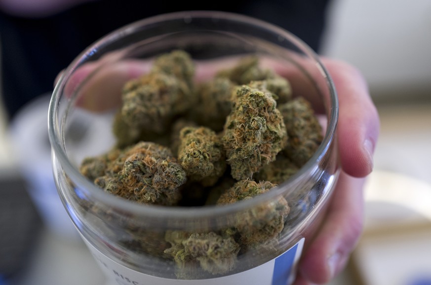 Neue Studie zeigt: Cannabis kann vermutlich noch viel mehr, als wir dachten